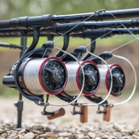 Daiwa 26 Tournament Basia 45 SCW QD Reel